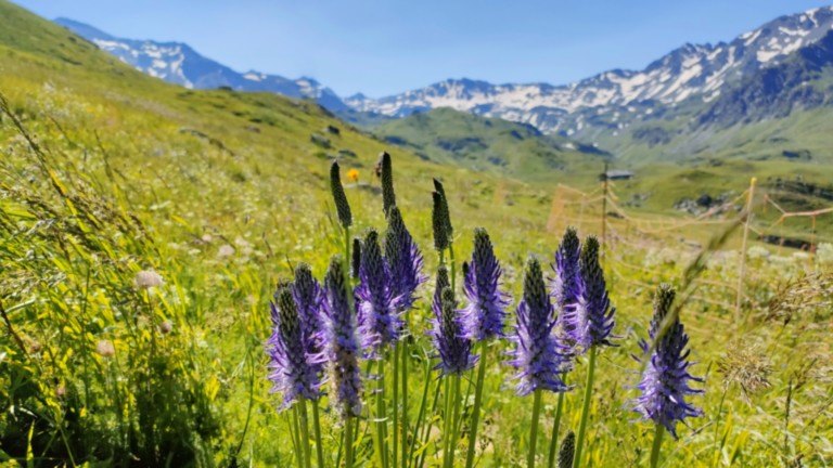 Séjour à Valloire du 13 au 20 juillet 2024 